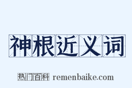 神根近义词是什么意思的图片
